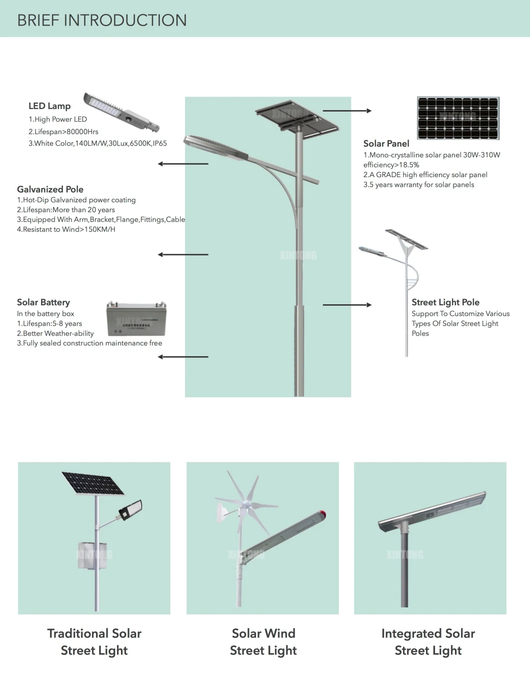 Cobra Head LED City Solar Street Light Price 60W 100W LED Street Lamp